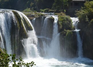 The Third Cause of Corruption and Lawlessness