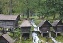 Honest Leadership in the Macedonian Committee