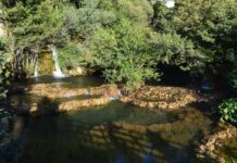 Tekfour Serai and the Palace Question