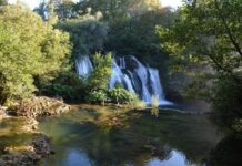 The Assembly at the Campus
