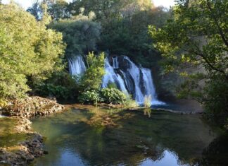The Assembly at the Campus